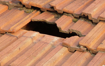 roof repair Tillington